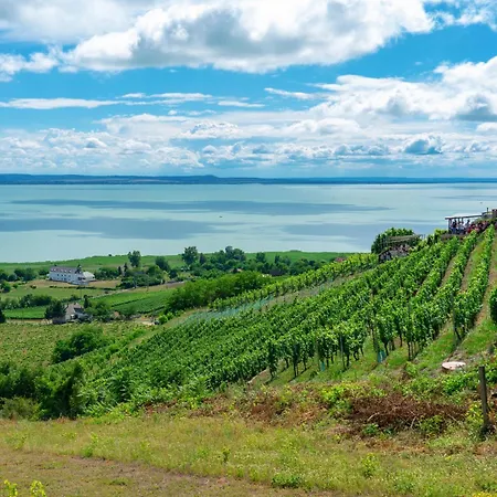 Balchill House With Sauna And Jacuzzi - Happy * Balatonszepezd